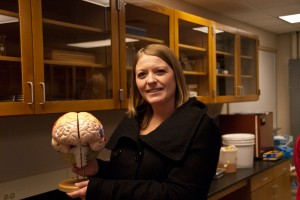donna talarico holding brain model donna talarico holding brain model