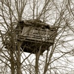 treehouse