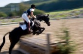 Xrays are my souvenirs photo blurred image of woman on horse jumping over fence