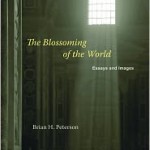 brian h. peteron's book cover in old building with sunlight shining in from rood