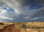 africa road and sky