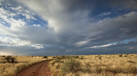 africa road and sky