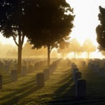 foggy sun shining over a cemetary with several big trees