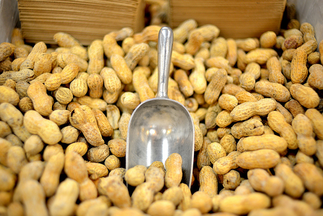 peanutes withs scoop in them