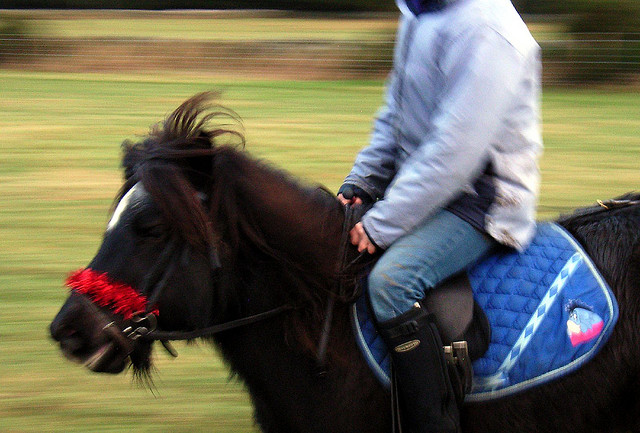 girl on pony tim bayman