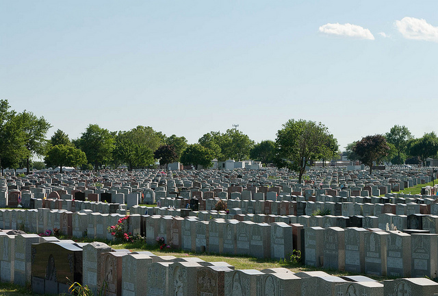 cemetery in the bronx gravestones lined up back to back