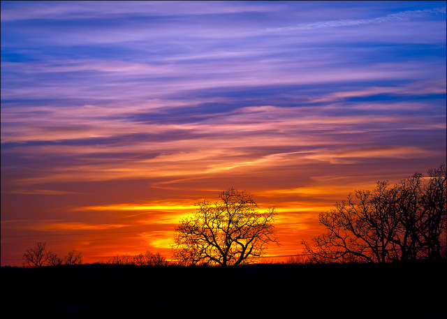 multi-color sunset with trees in front