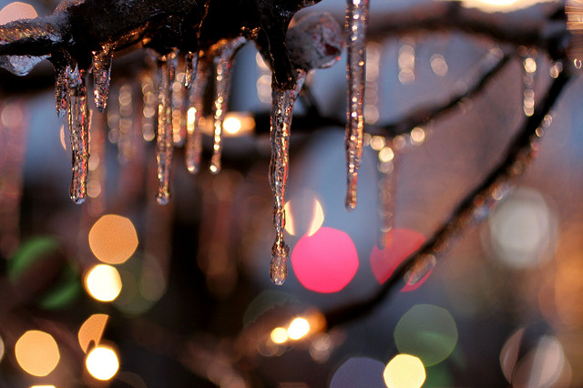 icicles on trees christmas lights in back