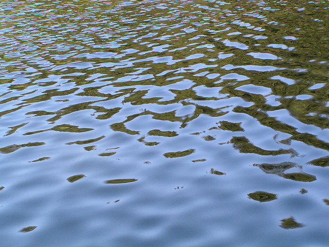 close-up of calm stream