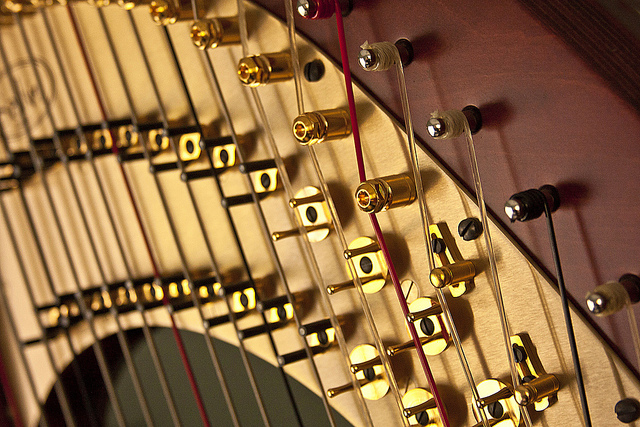 close up of harp stings