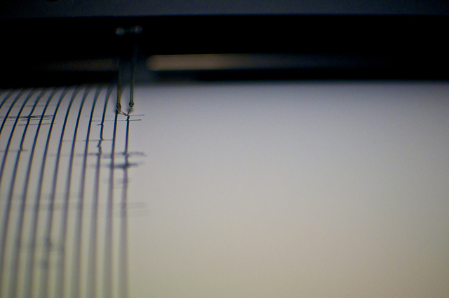 close up of richter scale reading - lines showing tremors, like a heart monitor almost; photo by FrankGuido