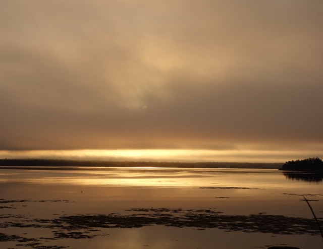 sunset over rocky shore in maine