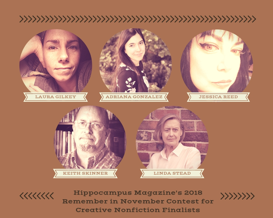 collage of five finalists head shots