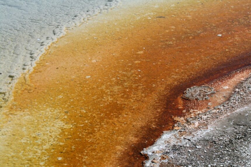 part of hot spring - a geological feature with colored rims
