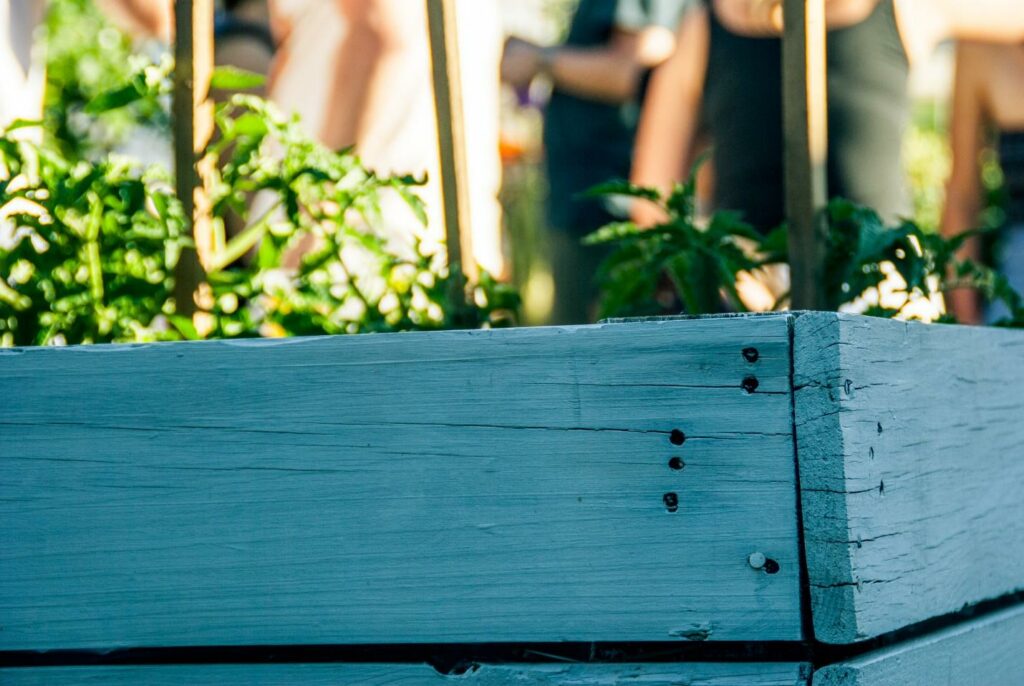 A close up of a raised wooded plant bed