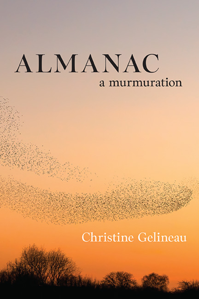 cover of Almanac: A Murmuration by Christine Gelineau; an orange sunset with a massive flock of birds flying