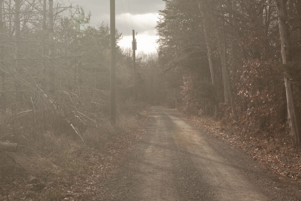 Gravel road going through woods on a hazy day