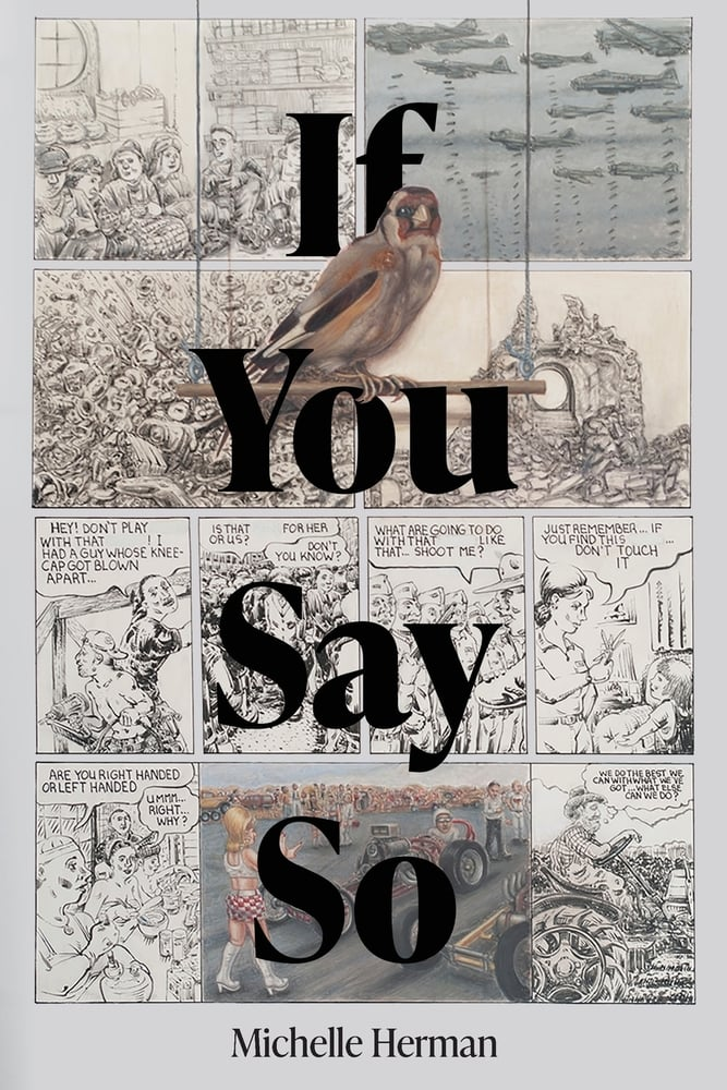cover of If You Say So by Michelle Herman; cover is divided into blocks almost like comic strip cells with images of birds, ruins, and people