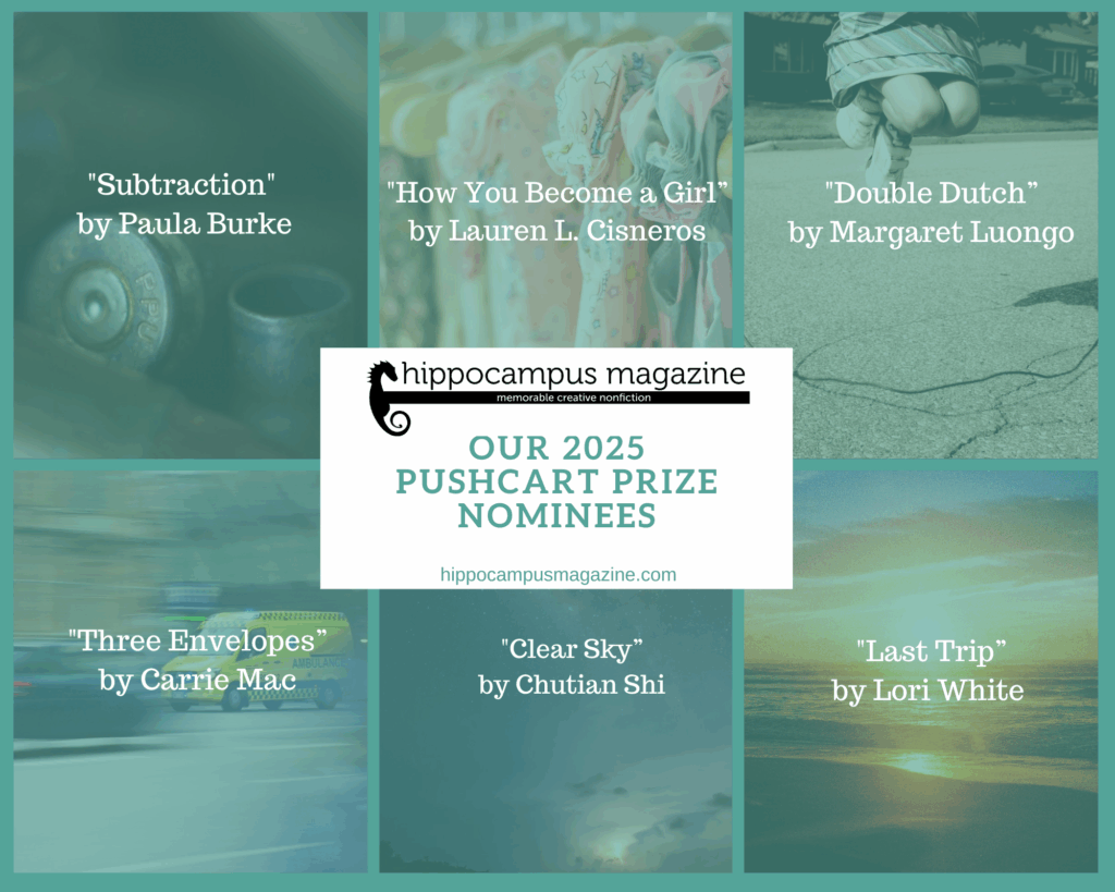 2025 Pushcart Prize nominees promo graphic; repeats the names that are listed in the blog post on this page