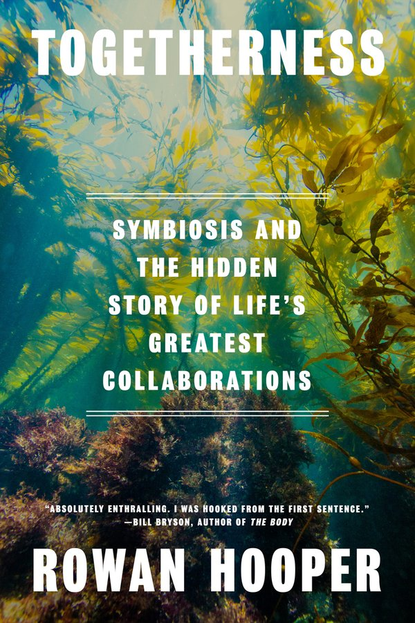 cover of Togetherness by Rowan Hooper, which is showing plants underwater with some light shining through