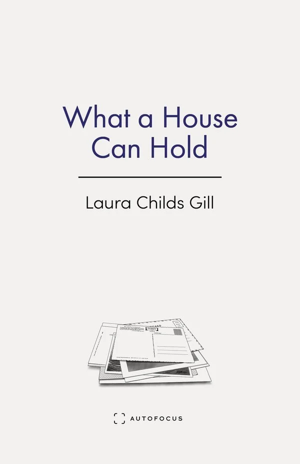 cover of what a house can hold by laura childs gill