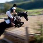 blurred image of woman on horse jumping over fence