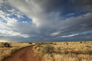 africa road and sky