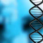 close-up shot of a chromosone