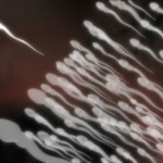 sperm with one leading the pack