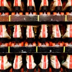 wall of old roller skate rentals