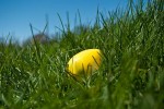 Single painted Easter Egg in Grass