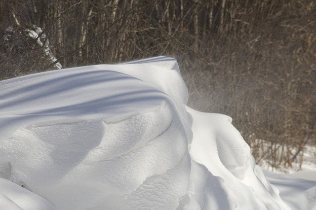 Snowdrift with woods behind
