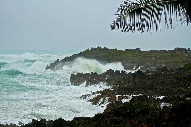 Hurricane winds making waves in tropical beach in bermuda