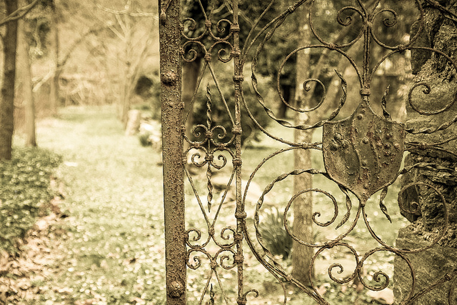 Ornate gate opening to forest