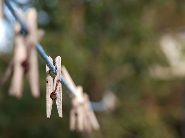 clothes pins on a line
