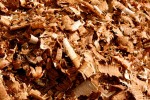 macro shot of wood shavings