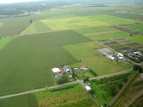 aerial view of farmland
