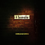 female bathroom sign brick wall