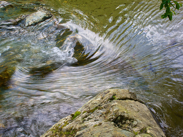 Close up shot of stream and rocks