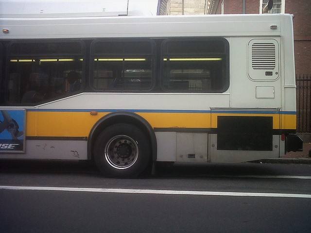 Bacl half of a city bus on street