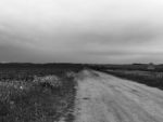 dirt road/driveway looking out into a vast sky surrounded by flat land