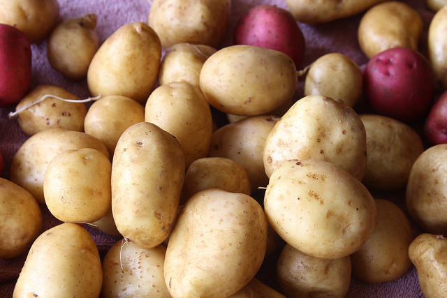 Close up shot of a pile of potatoes mostly brown a few purple