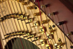 close up of harp stings