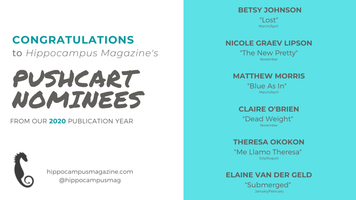 banner that lists 2020 pushcart nominees: Submerged by Elaine van der Geld; Blue As In by Matthew Morris; Lost by Betsy Johnson; Me Llamo Theresa by Theresa Okokon; Dead Weight by Claire O’Brien; and The New Pretty by Nicole Graev Lipson.
