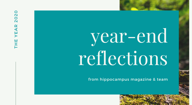 banner that says year-end reflections from hippocmapus magazine and team