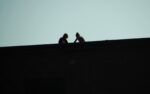 silouette style image of two teens on a roof