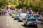 A group of classic cars on a road with a crowd watching -- parade