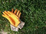 garden gloves laying on the grass
