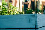A close up of a raised wooded plant bed