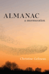 cover of Almanac: A Murmuration by Christine Gelineau; an orange sunset with a massive flock of birds flying